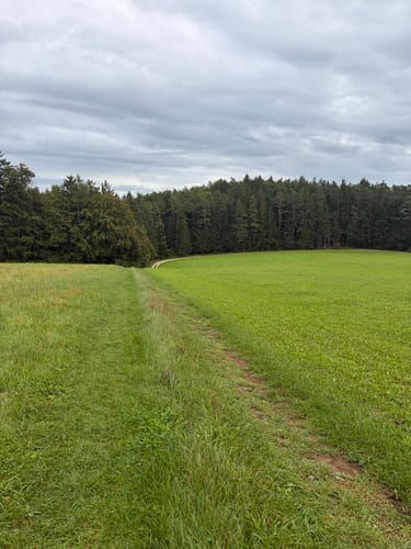 Jurasteig Etappe 7: Hohenburg - Kastl