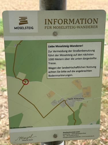 Moselsteig Etappe 20: Treis-Karden - Moselkern
