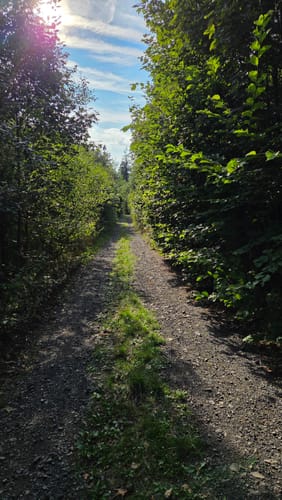 Kaskadenschlucht und Rotes Moor ab Sandberg