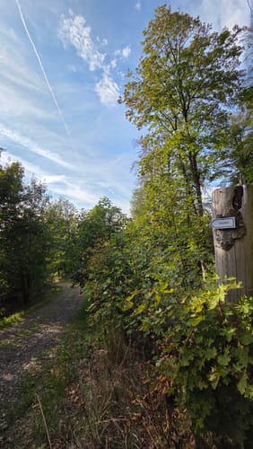 Kaskadenschlucht und Rotes Moor ab Sandberg