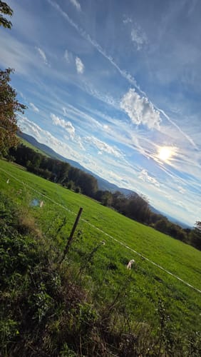 Kaskadenschlucht und Rotes Moor ab Sandberg