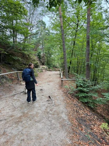 Zur Bastei und Basteibrücke [CLOSED]