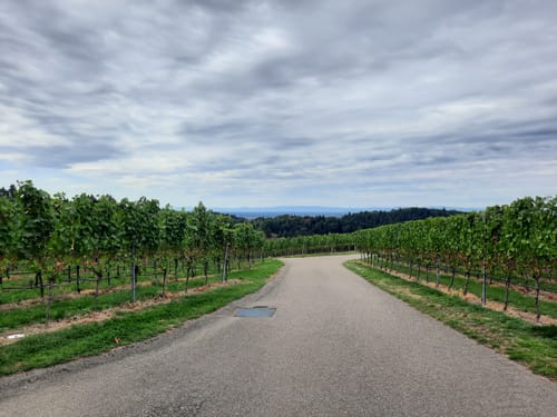 Ortenauer Sagenrundwege: Kutzenstein