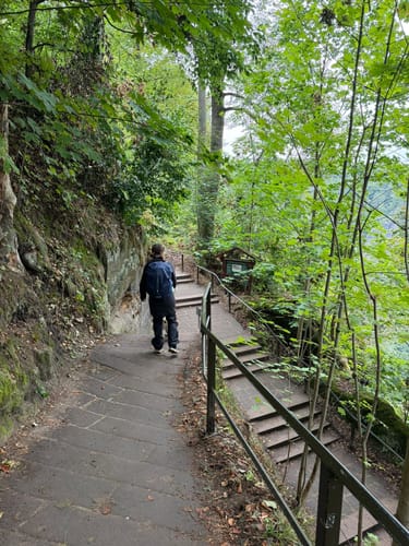 Zur Bastei und Basteibrücke [CLOSED]