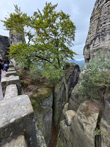 Zur Bastei und Basteibrücke [CLOSED]