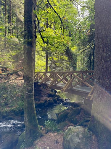 Hinterzarten und Ravennaschlucht