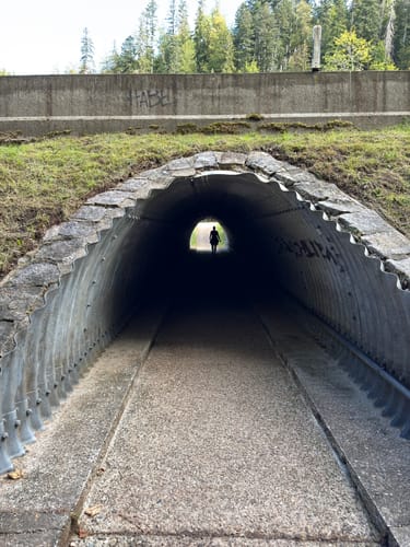 Hinterzarten und Ravennaschlucht