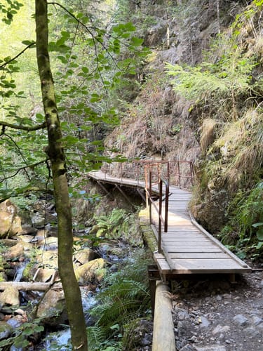 Hinterzarten und Ravennaschlucht