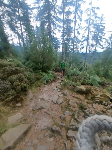 Runde zum Herrenwieser See
