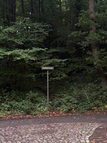 Blankanese - Waldpark Marienhöhe - Tafelberg