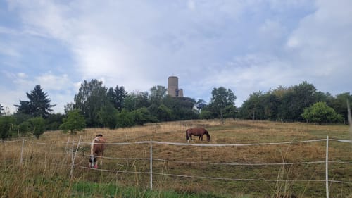 Lahnwanderweg Etappe 10: Rodheim-Bieber - Wetzlar