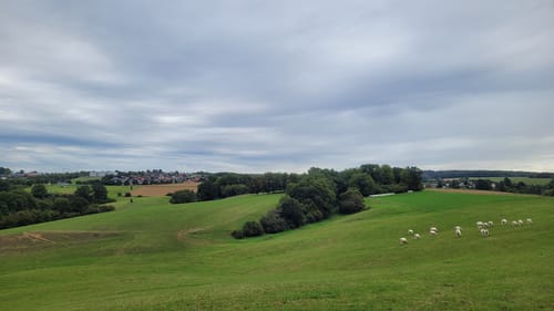Lahnwanderweg Etappe 12: Braunfels - Weilburg