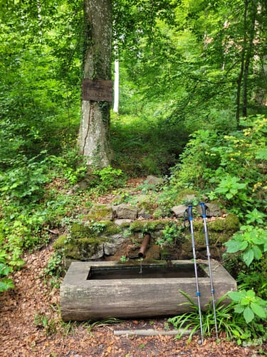 Lahnwanderweg Etappe 12: Braunfels - Weilburg
