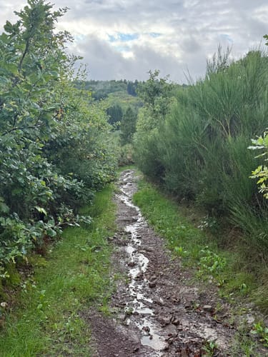 Rundweg D4 - Naturwelten