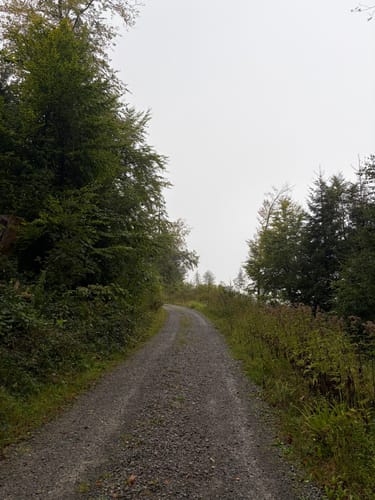 Velmerstot Rundwanderung