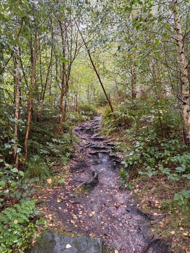 Velmerstot Rundwanderung