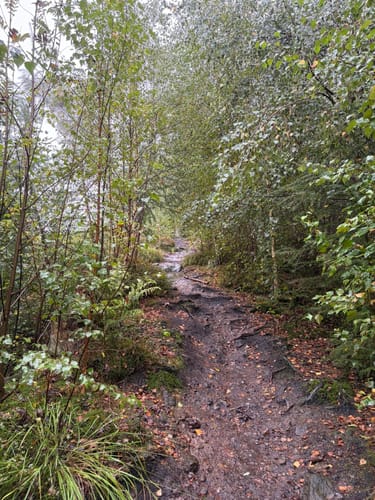Velmerstot Rundwanderung