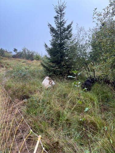Velmerstot Rundwanderung
