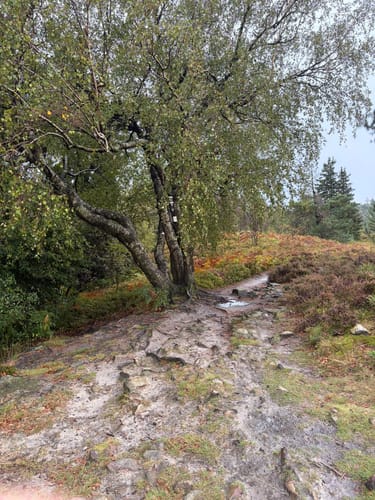 Velmerstot Rundwanderung