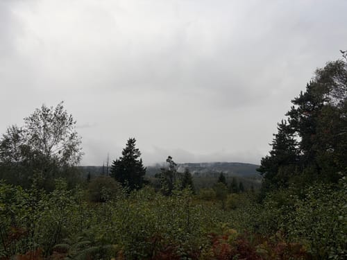 Velmerstot Rundwanderung