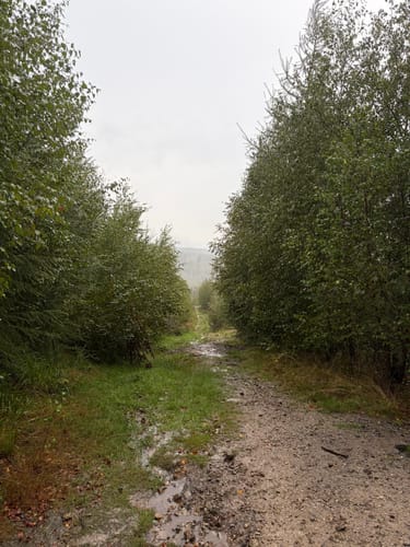 Velmerstot Rundwanderung