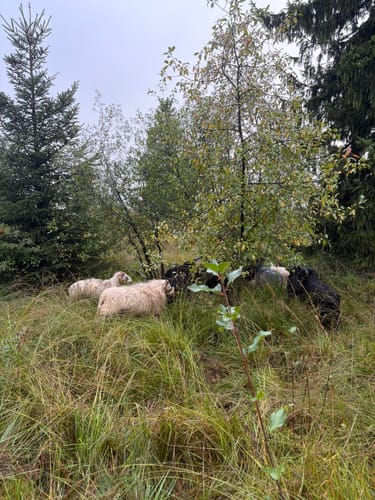 Velmerstot Rundwanderung