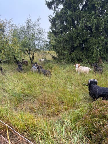 Velmerstot Rundwanderung