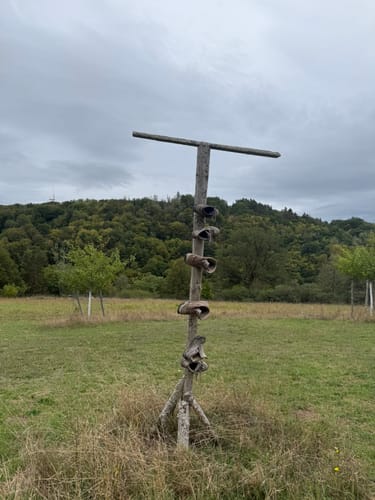 Nohener Naheschleife (Premiumwanderweg)