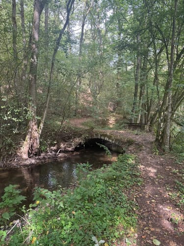 Nohener Naheschleife (Premiumwanderweg)