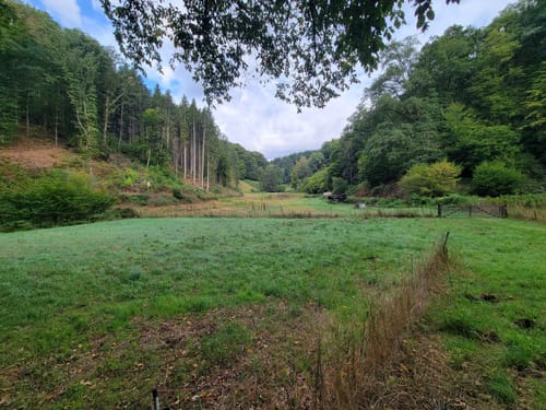 Trulber Sandhasentour (Premiumwanderweg)