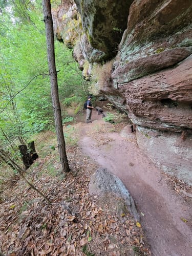 Trulber Sandhasentour (Premiumwanderweg)