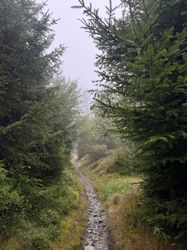 Rothaarsteig Etappe 2: Willingen - Winterberg