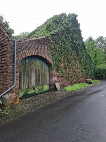 Rund um den Otto-Maigler-See