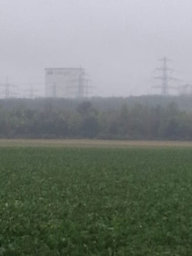 Rund um den Otto-Maigler-See