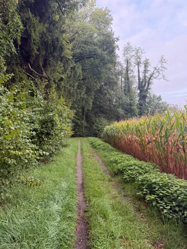Über Mariengrotte - Hinzistobel - Locherhof