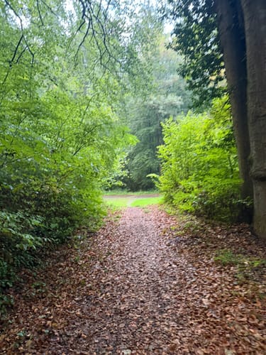 Über Mariengrotte - Hinzistobel - Locherhof