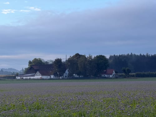Über Mariengrotte - Hinzistobel - Locherhof