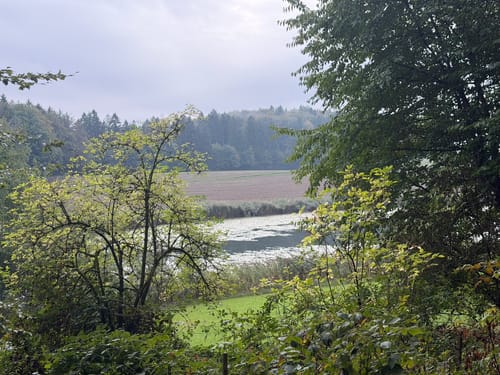 Über Mariengrotte - Hinzistobel - Locherhof