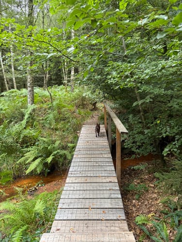 Kell am See ab Landal Greenpark