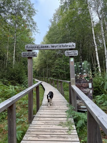 Kell am See ab Landal Greenpark