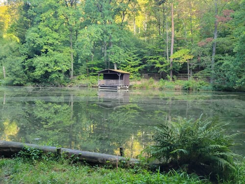 Vom Schlangenweiher zum Dreispitz