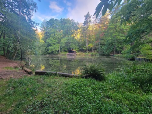 Vom Schlangenweiher zum Dreispitz