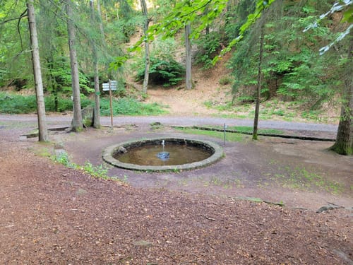 Vom Schlangenweiher zum Dreispitz
