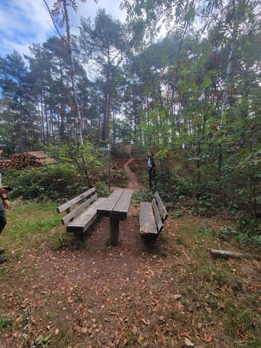 Vom Schlangenweiher zum Dreispitz