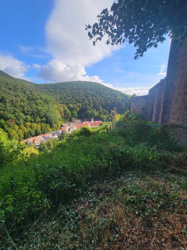 Vom Schlangenweiher zum Dreispitz