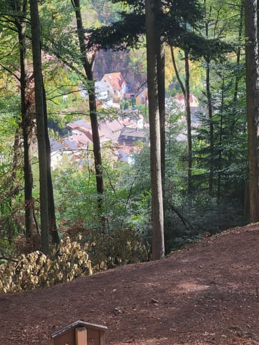 Vom Schlangenweiher zum Dreispitz