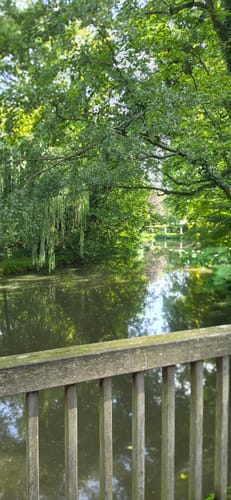 Rondje Witte Veen