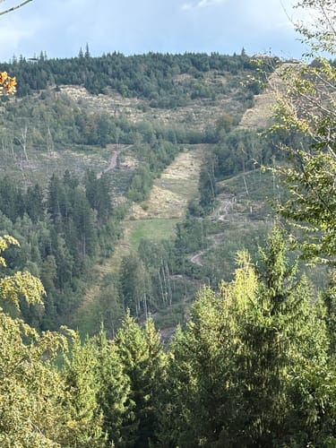 Ilmenau via Kickelhahn