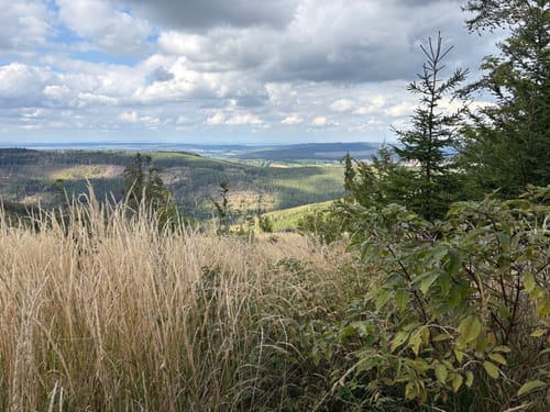 Ilmenau via Kickelhahn