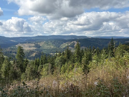Ilmenau via Kickelhahn
